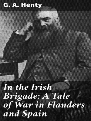 cover image of In the Irish Brigade